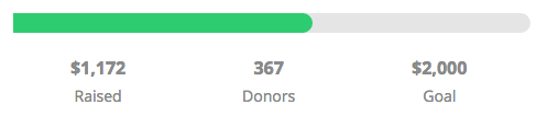 Donorbox donation progress meter
