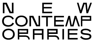 New Contemporaries (1988) Limited logo