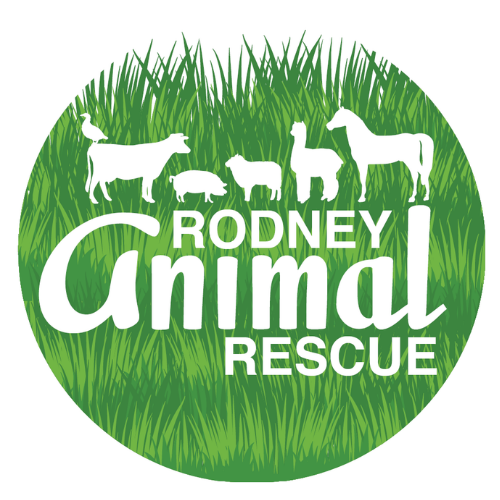 Rodney Animal Rescue Trust logo