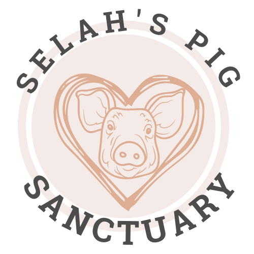 SELAHS PIG SANCTUARY logo