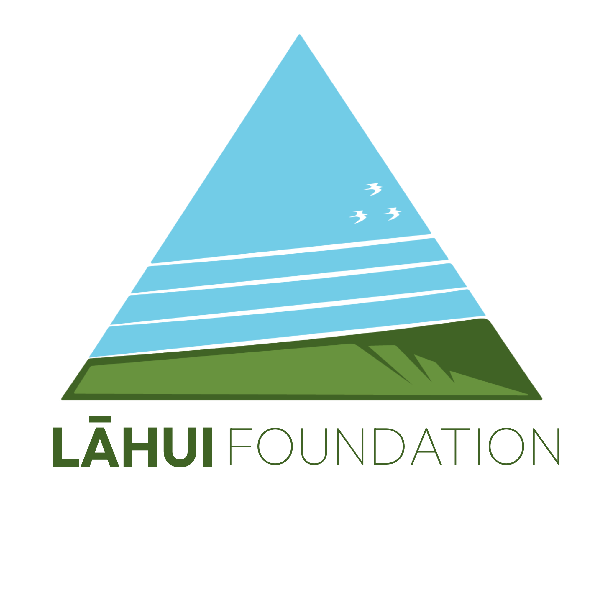 Lahui Foundation logo
