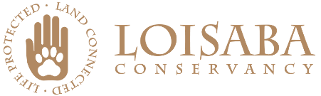 WildLandscapes International logo