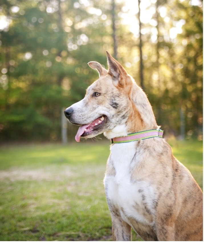 Photo from Michael Gregory