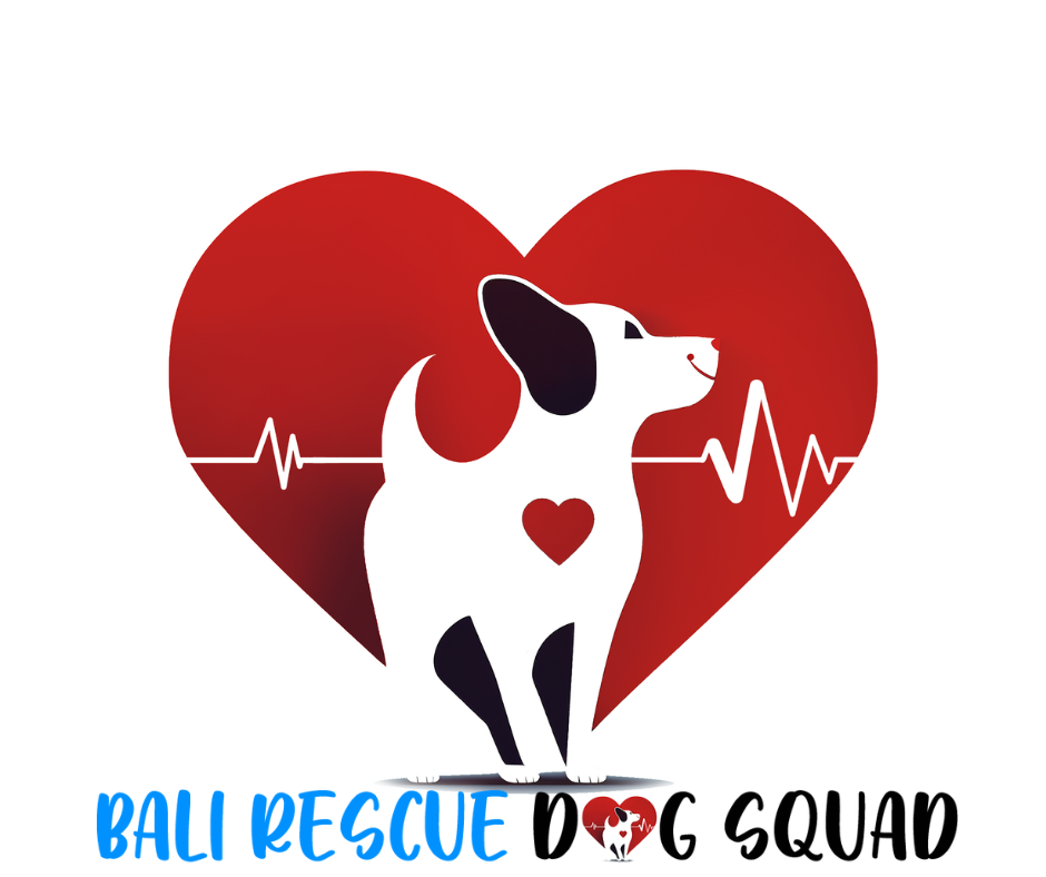 Photo from Alison Gray