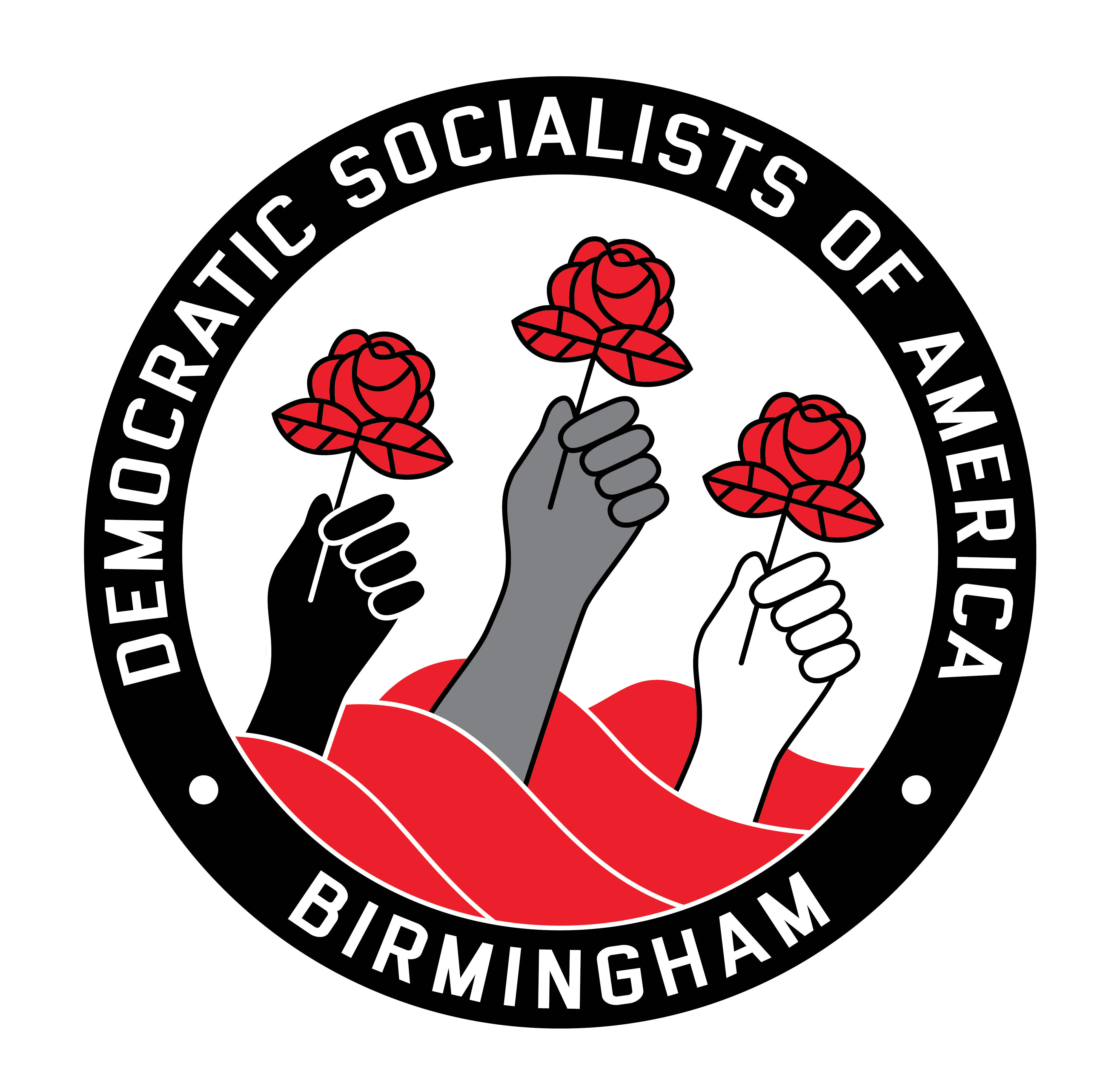 Birmingham DSA logo