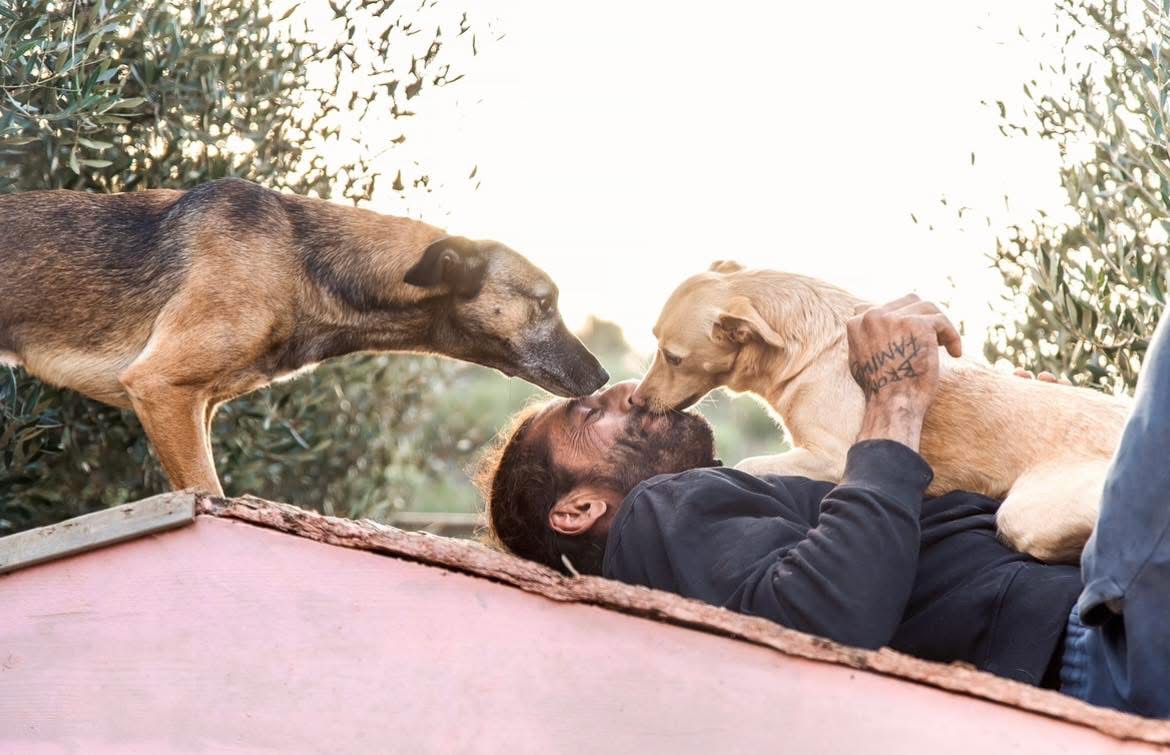 A HOME FOR NIKOS - THE MAN WHO CARES FOR 300 RESCUE DOGS | Bronx ...
