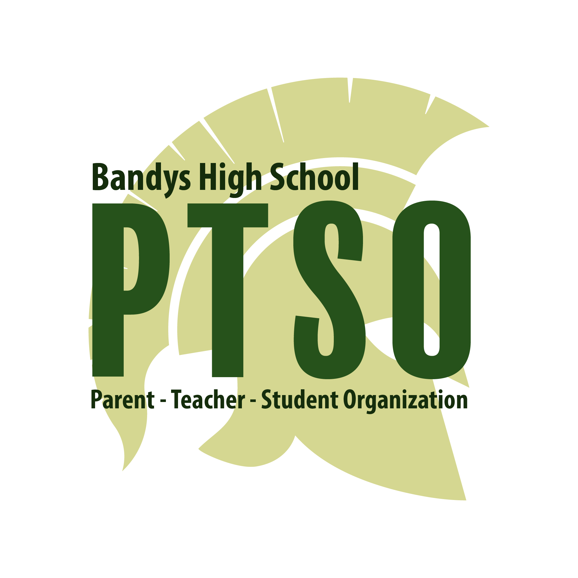 Bandys High School PTSO logo