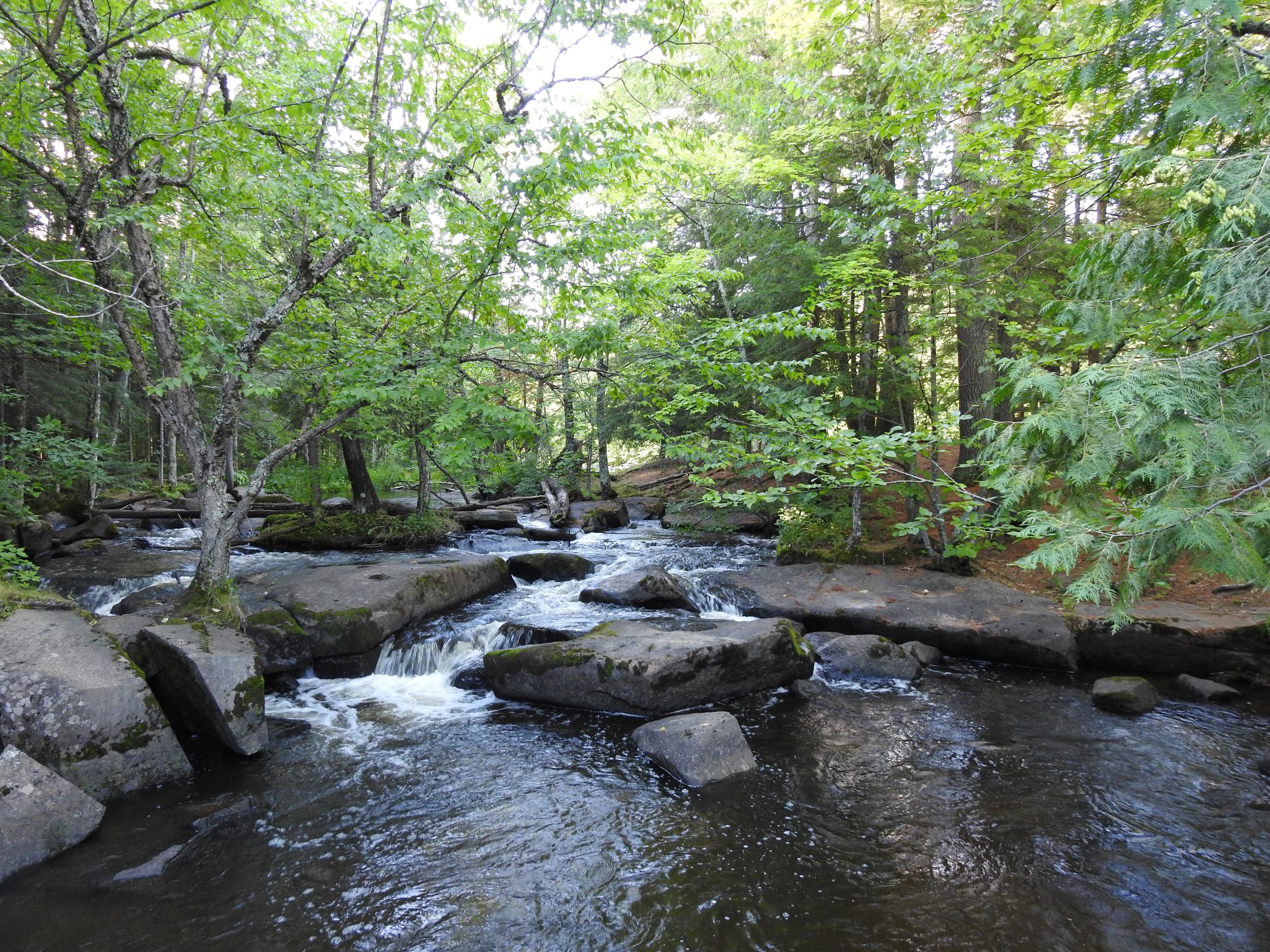 Photo from Water Team