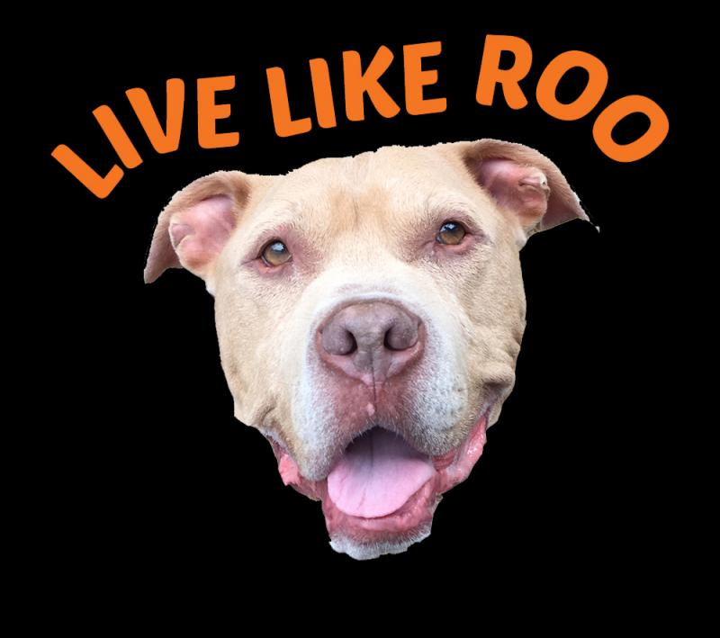 LIVE LIKE ROO FOUNDATION logo