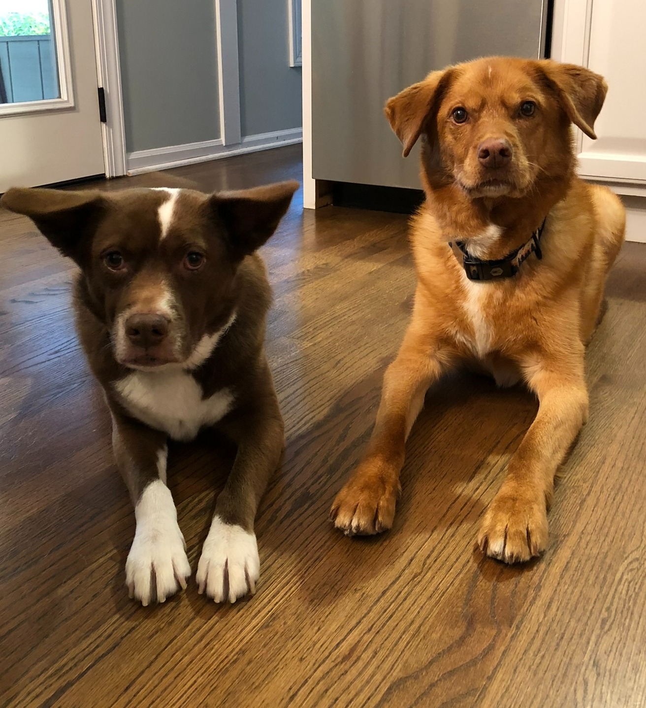 Photo from Lindsay Gomez