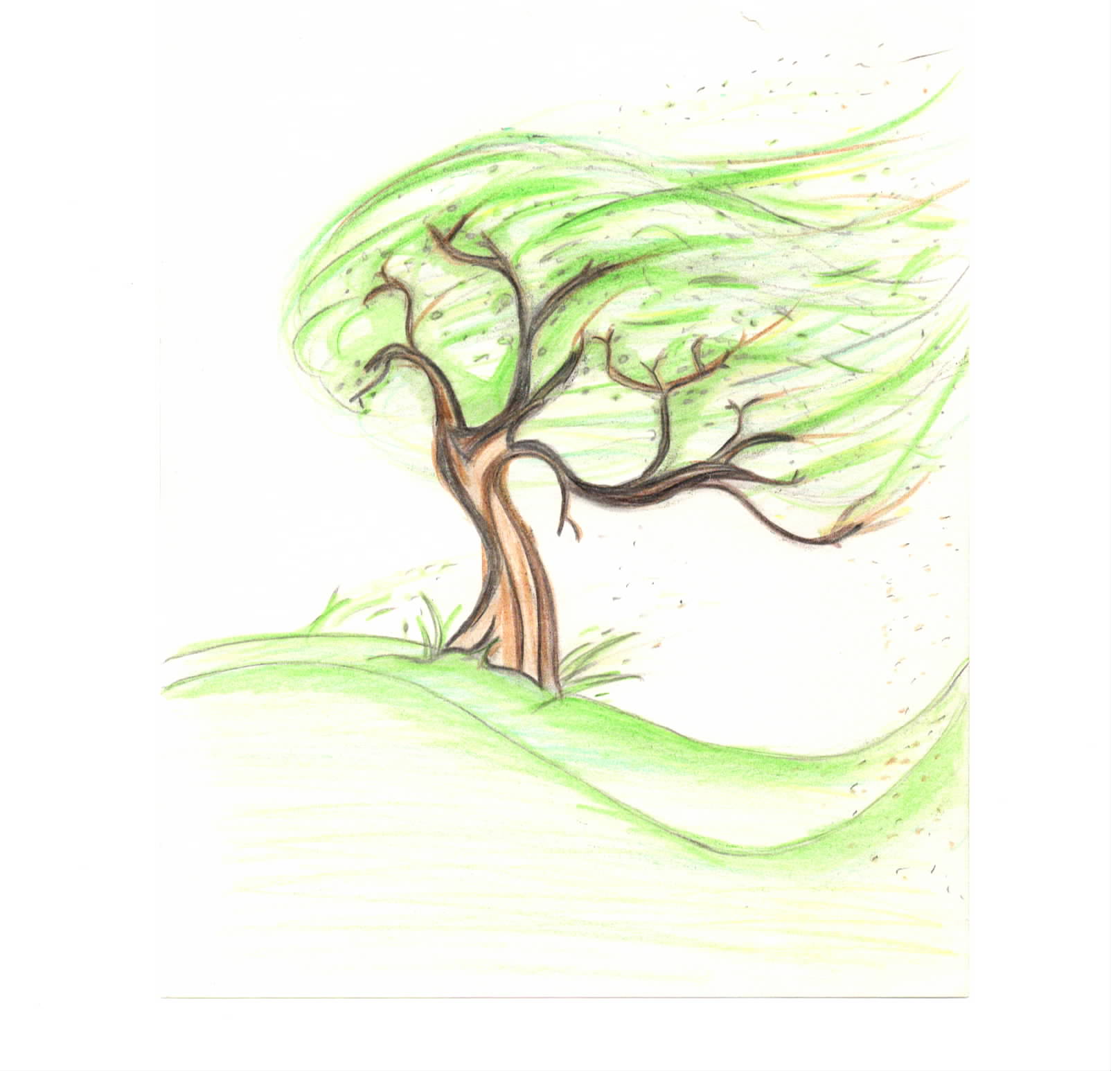 Breath of the Almighty Ministries Inc logo