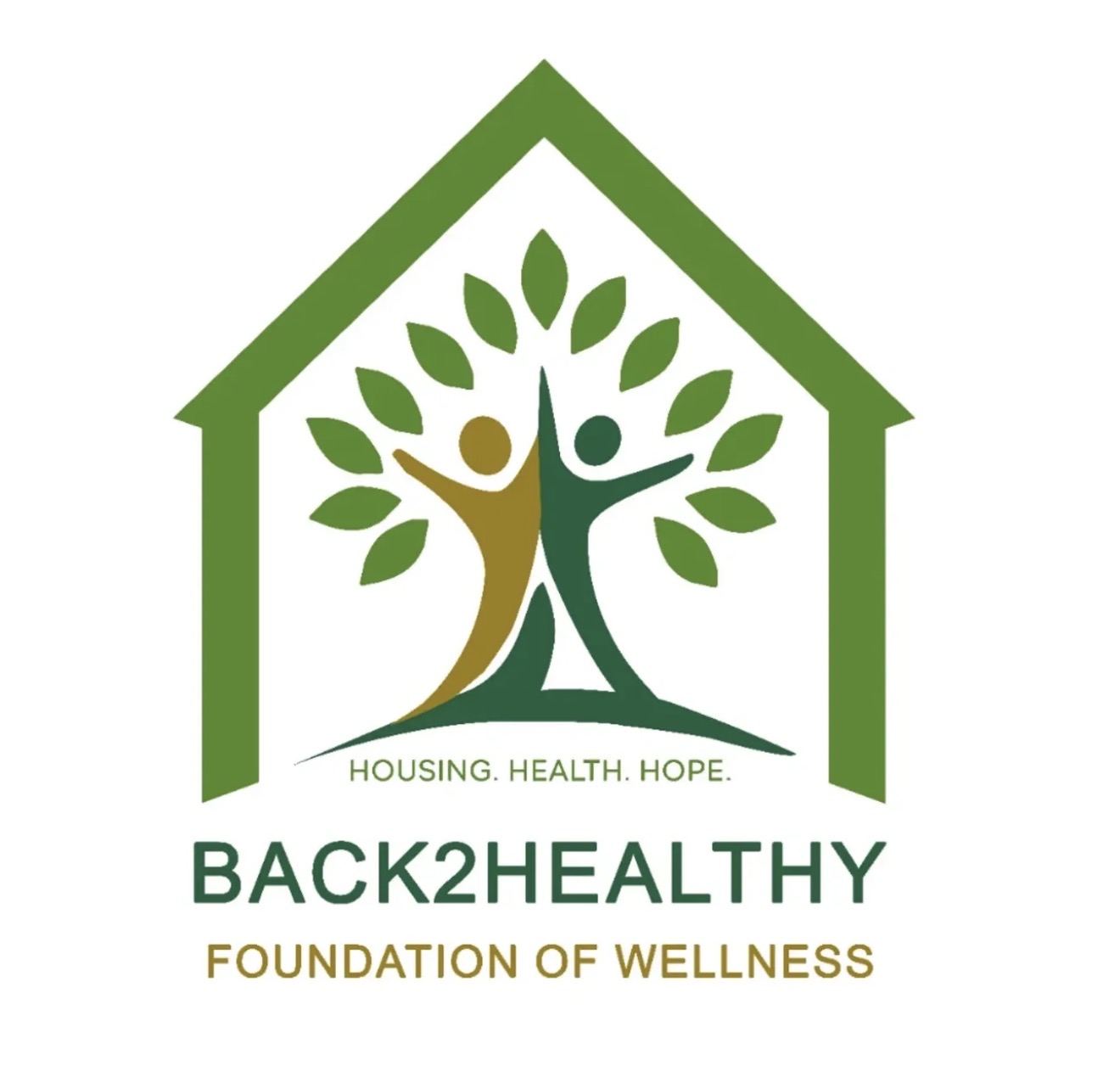 BACK 2 HEALTHY FOUNDATION OF WELLNESS logo