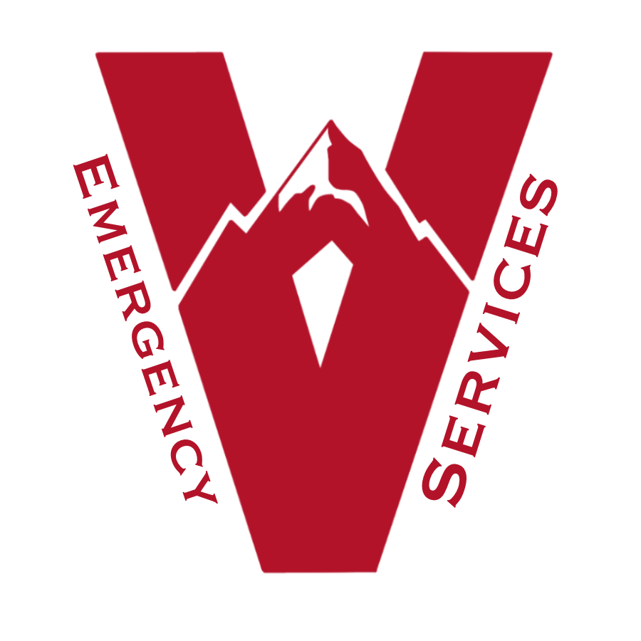 Valor In The Valley logo