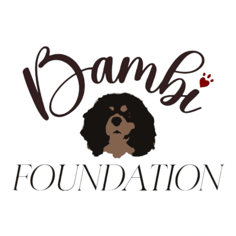 Bambi Foundation Albania logo