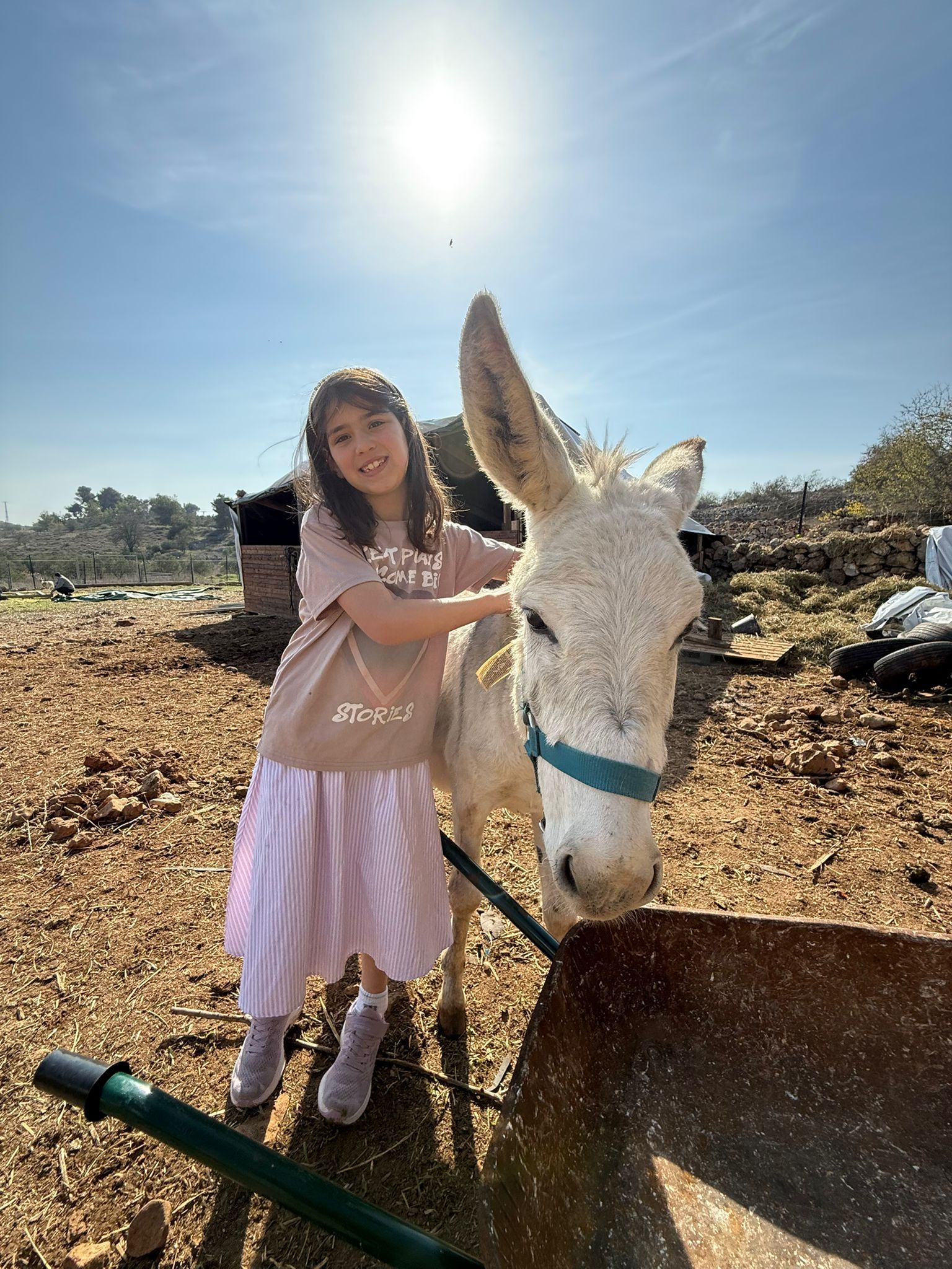 Photo from Elizabeth Freud