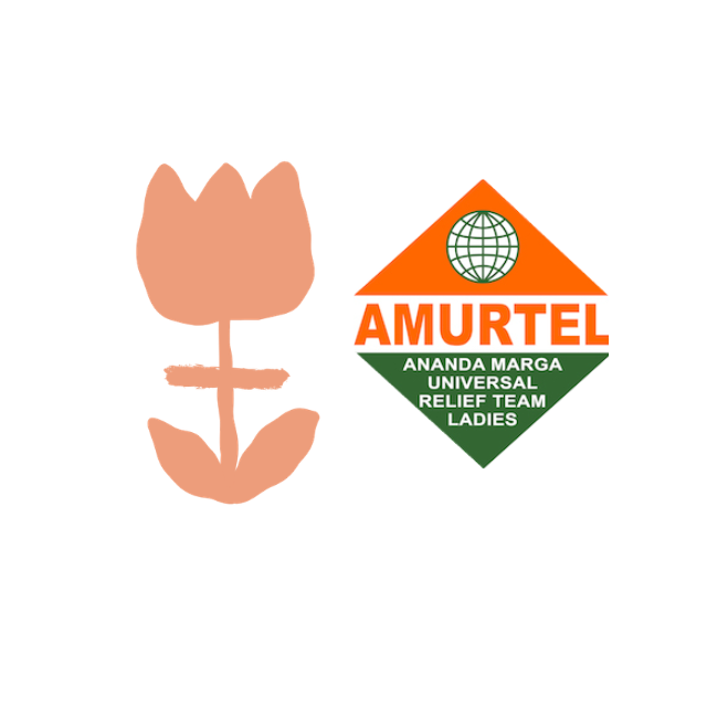 AMAMÉ Initiative logo
