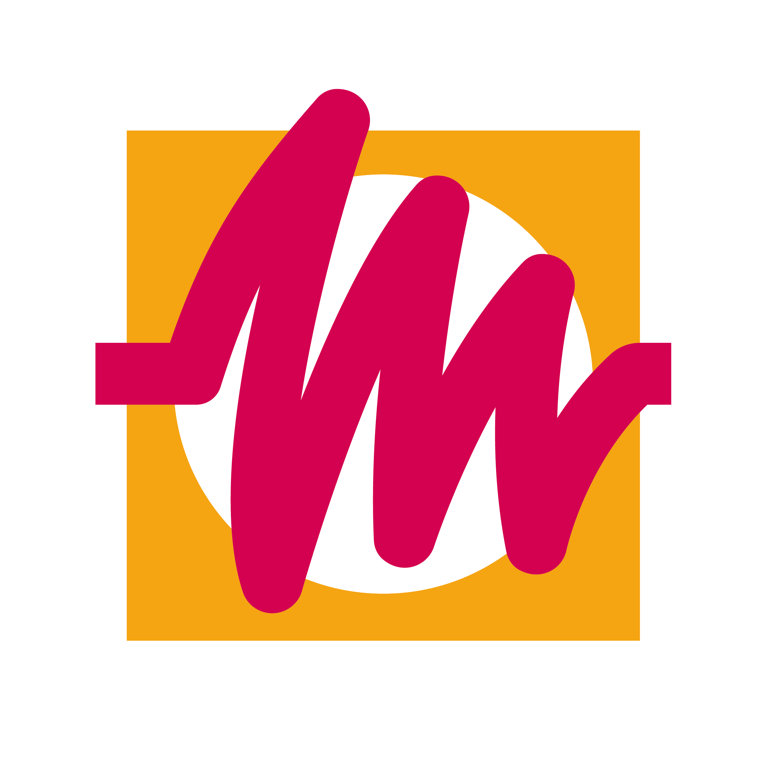 Stichting Democratie Monitor logo