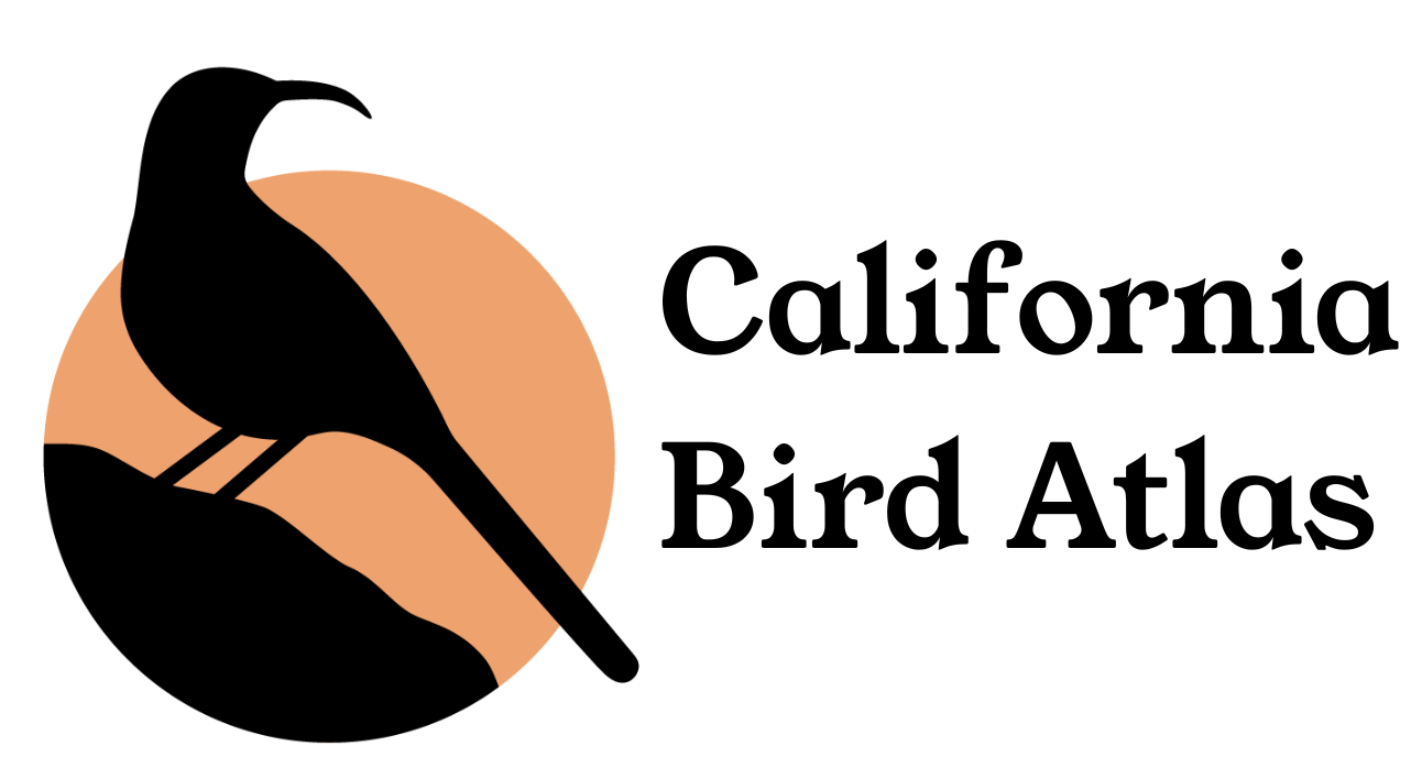 California Bird Atlas logo