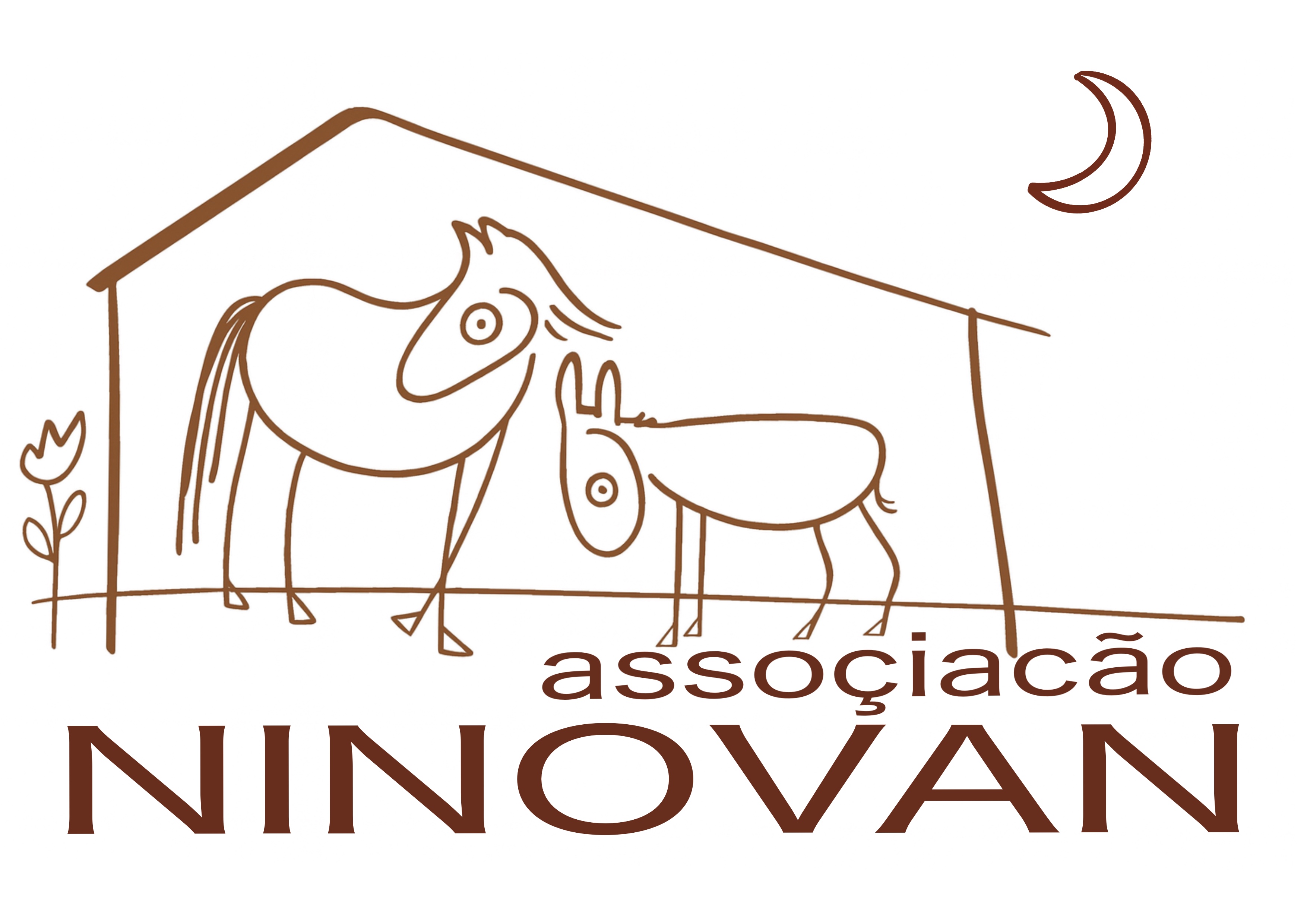 Association Ninovan logo