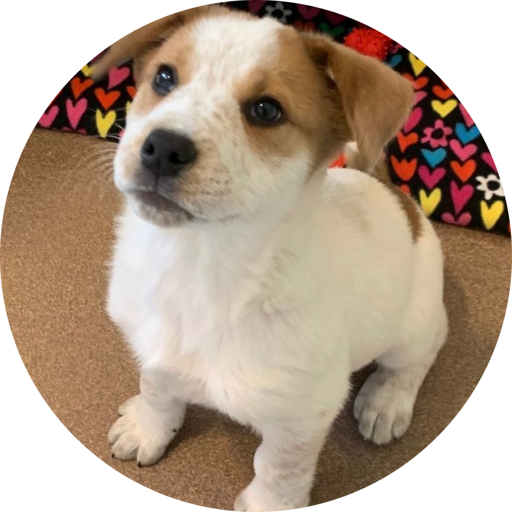 Photo from Tristan Boyce