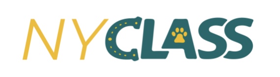 NEW YORKS FOR CLEAN LIVABLE & SAFE STREETS INC logo