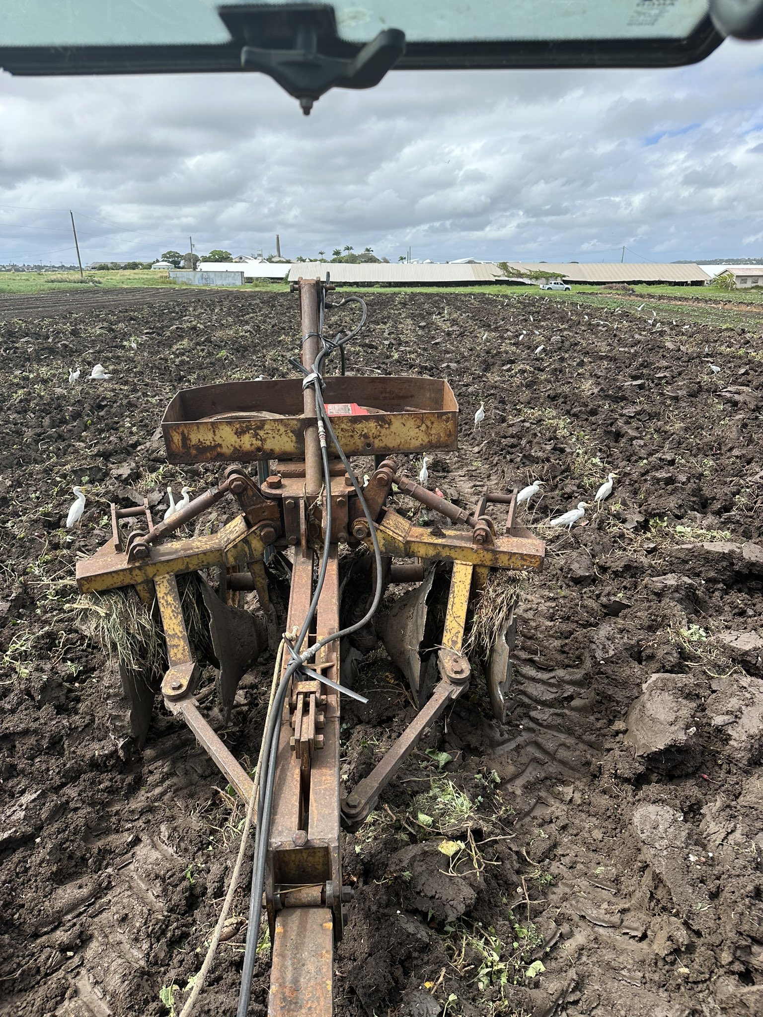 The Harvest Garden logo