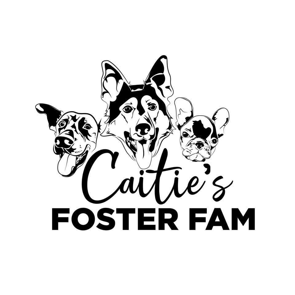 CAITIE S FOSTER FAM logo