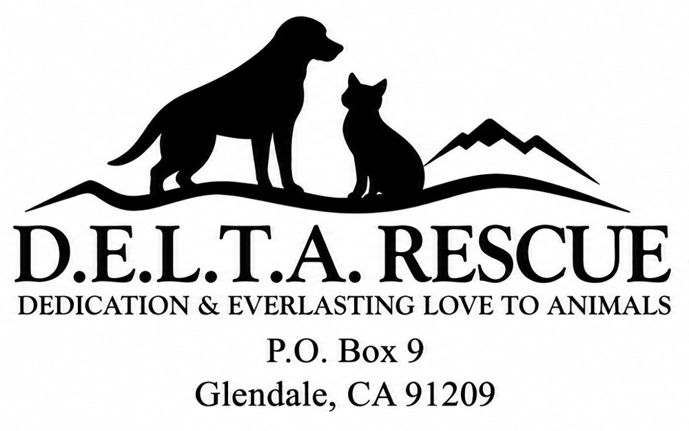 D.E.L.T.A. Rescue logo