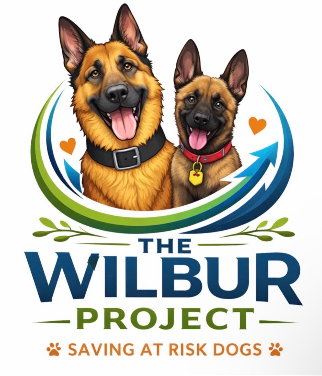 The Wilbur Project logo