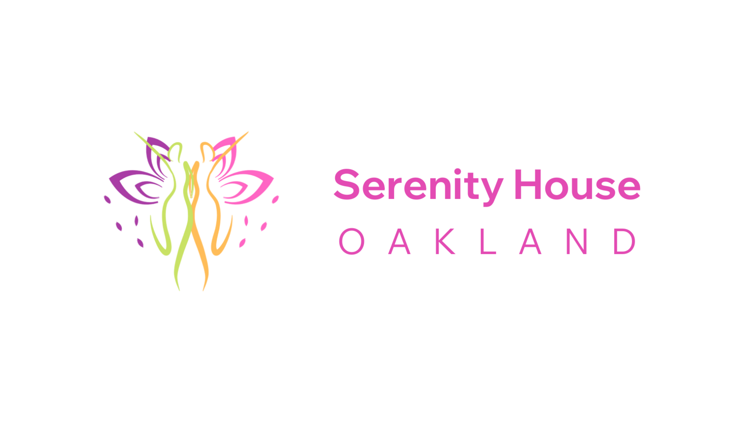 Sister-to-Sister 2 logo