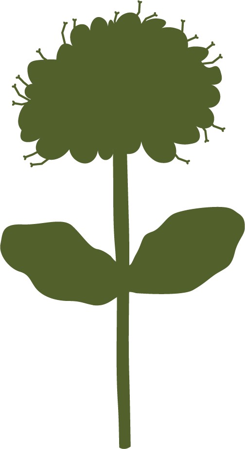 Care for All, Inc. logo