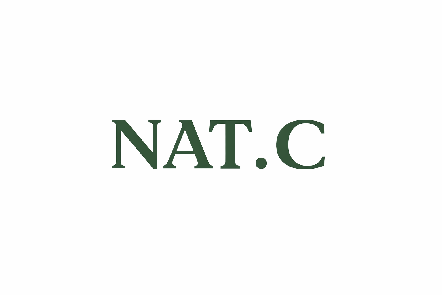 Nat. C Brand Networking logo