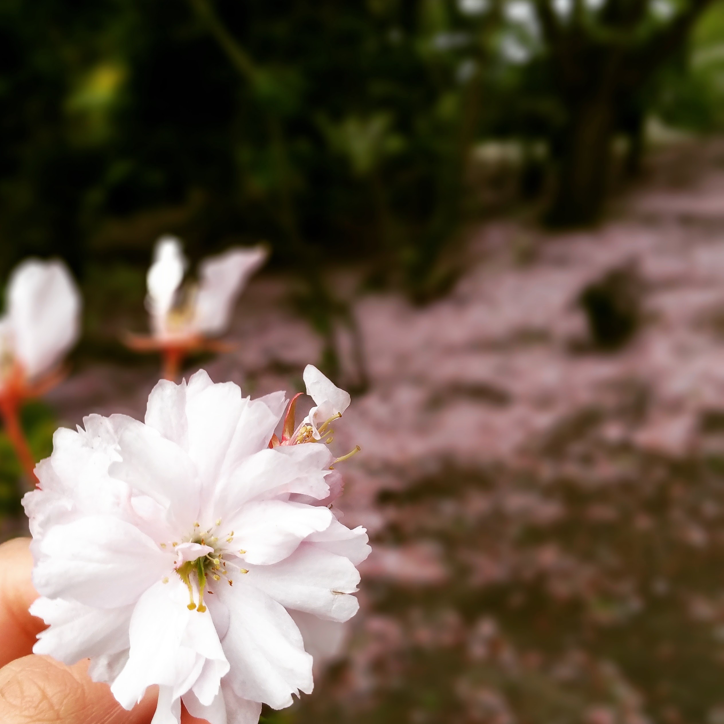 Photo from Madiyah Umm Yusuf