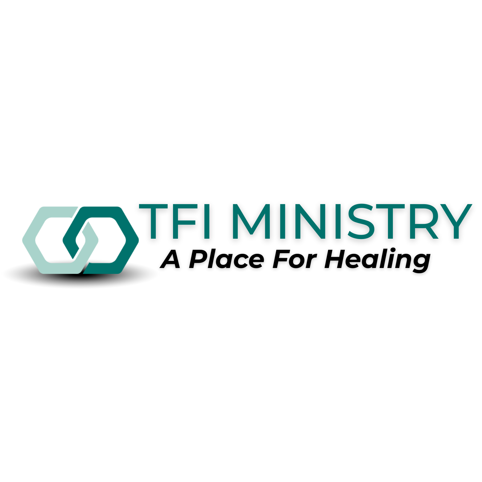 His Whole House dba TFI Ministry logo