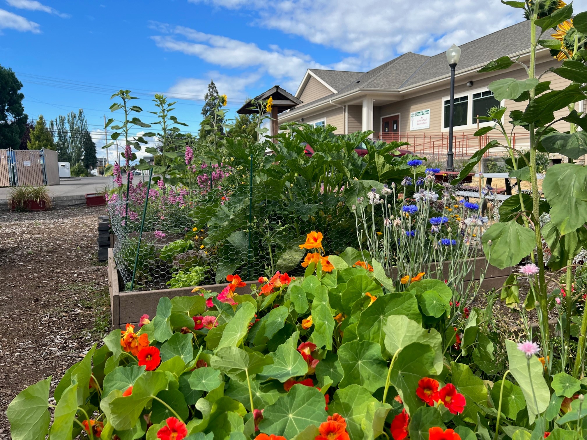 Photo from Asia Gray