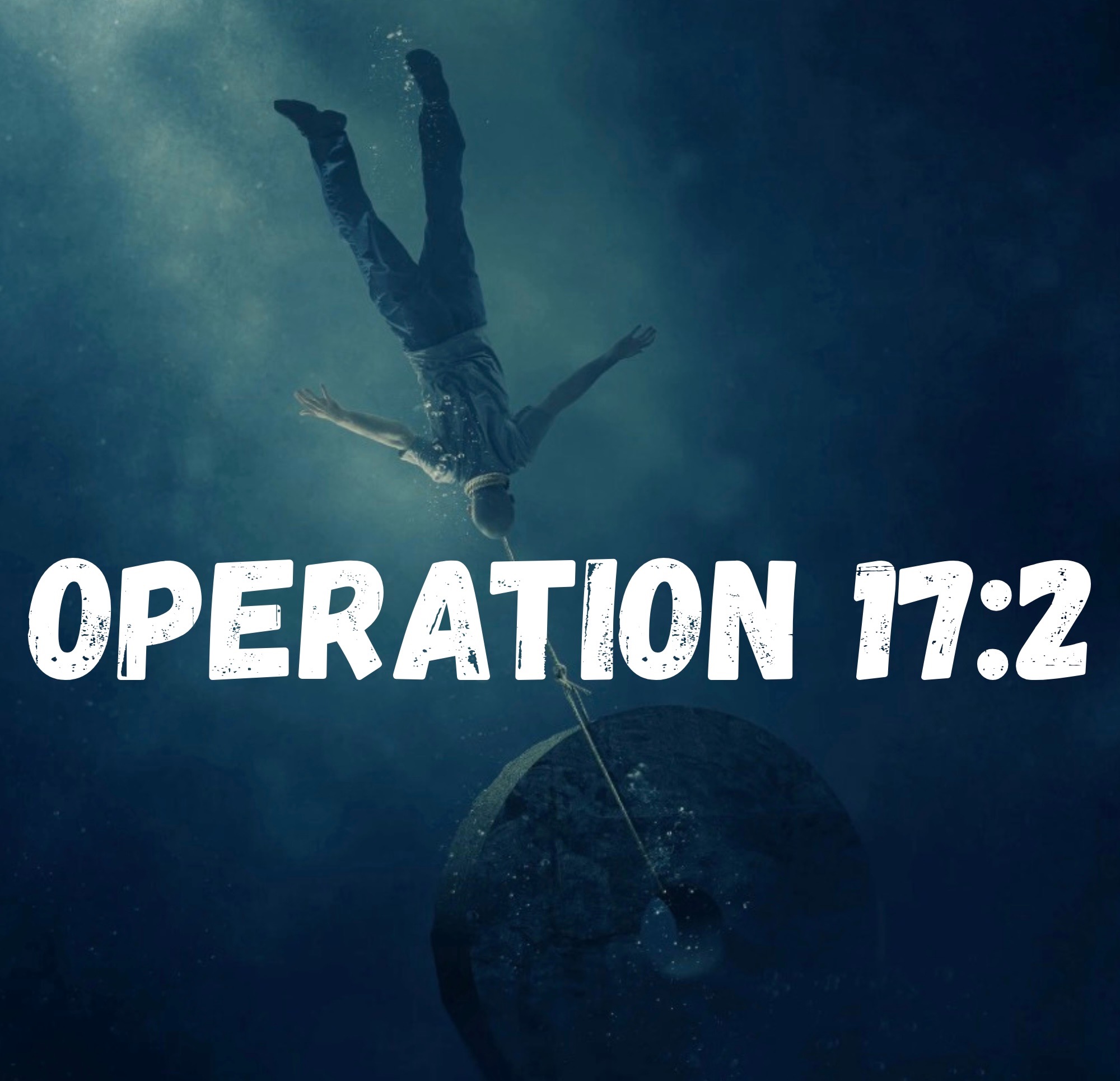 Operation 17:2 logo