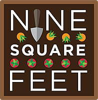 NINE SQUARE FEET logo