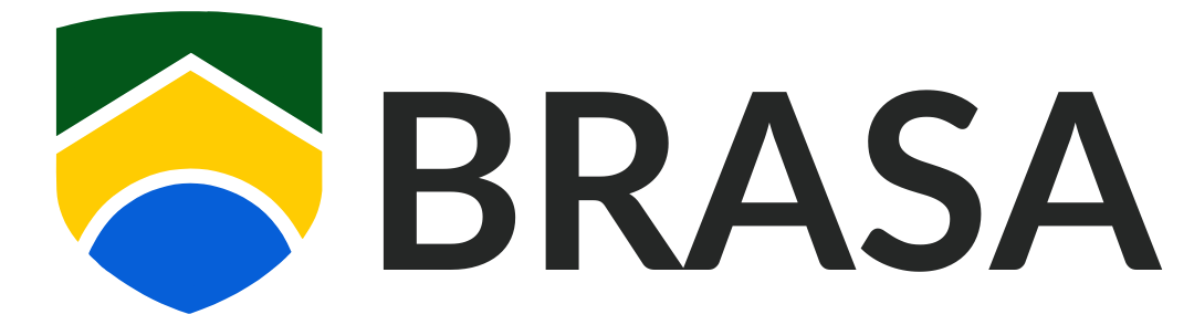 BRAZILIAN STUDENT ASSOCIATION logo