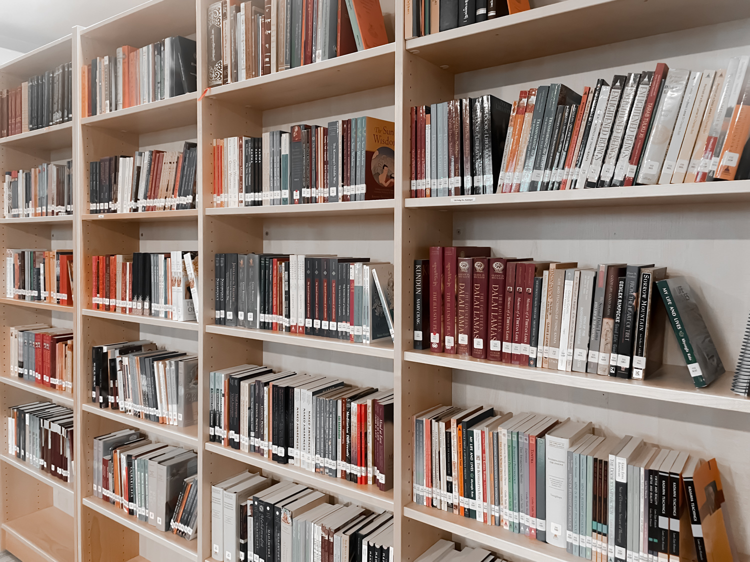 Support Gomde UK’s World-Class Library | Rangjung Yeshe | Gomde UK ...
