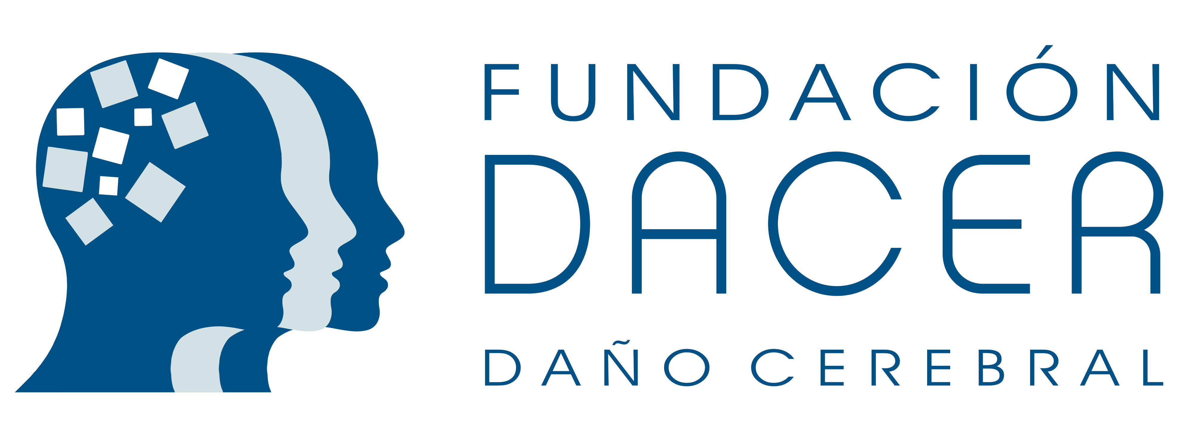 Fundación DACER logo