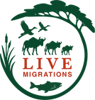 Collaborative Earth logo