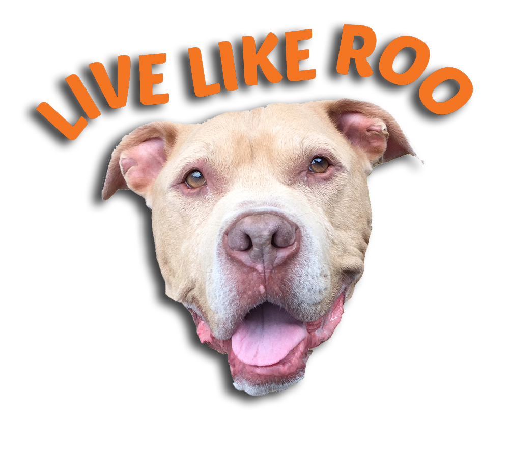 Live Like Roo Foundation logo