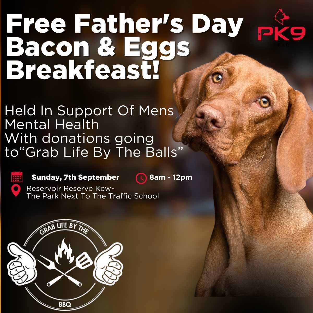 Photo from Positive K9 Training