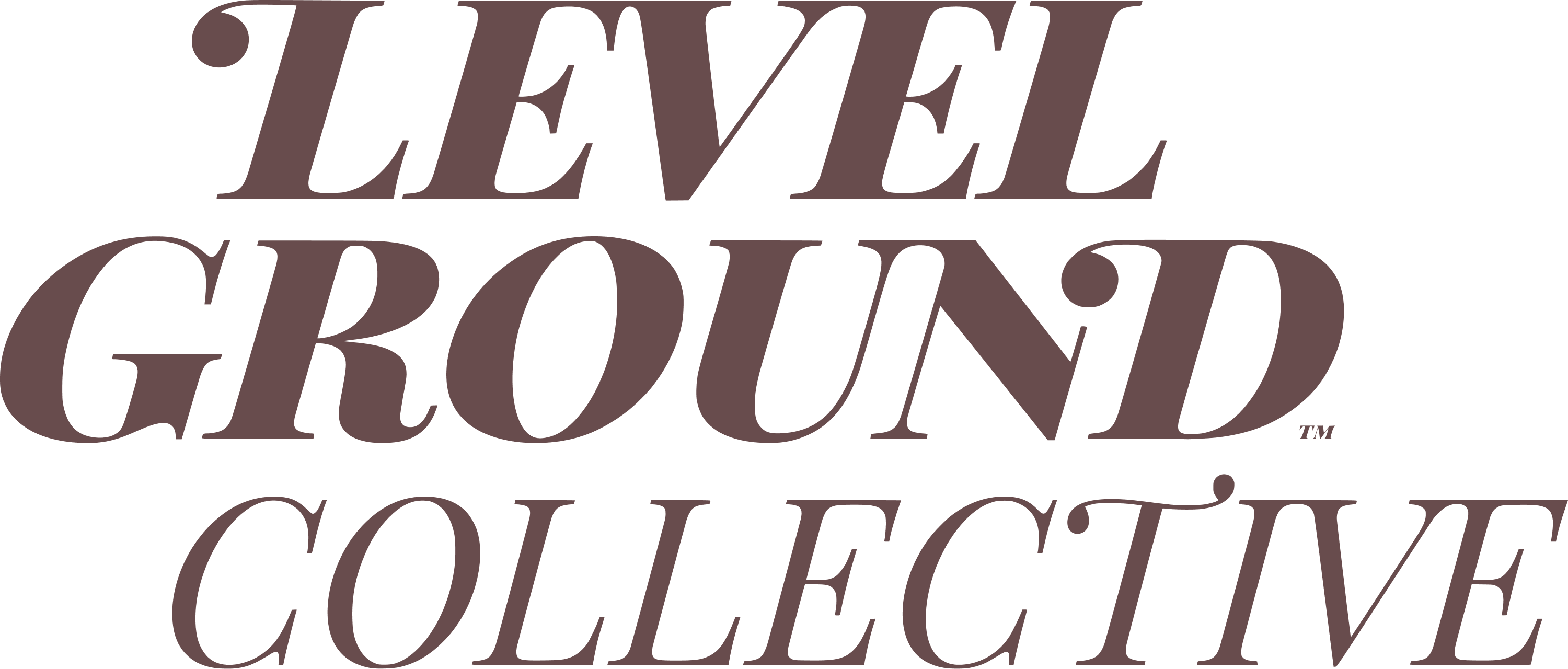 Level Ground logo
