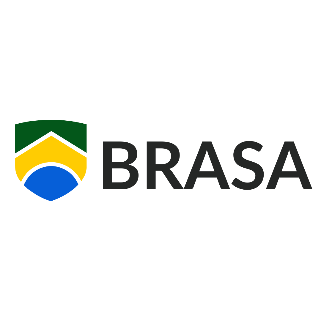 BRAZILIAN STUDENT ASSOCIATION logo