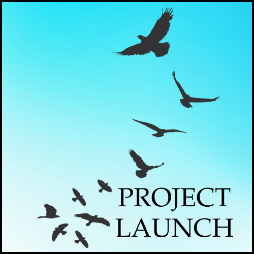 Project Launch logo
