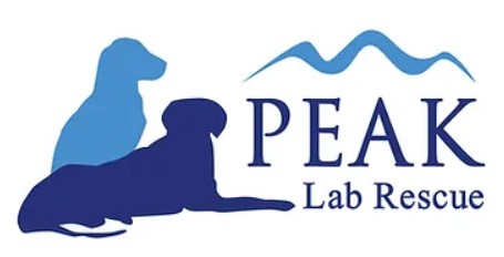 Peak Lab Rescue logo
