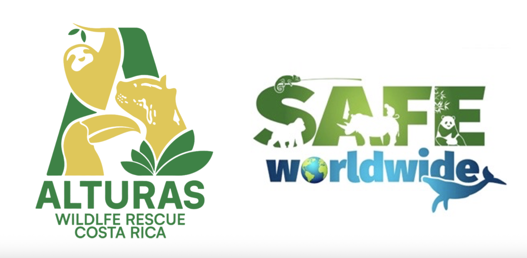 SAFE WORLDWIDE INC logo