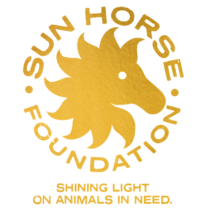 Sun Horse Foundation logo