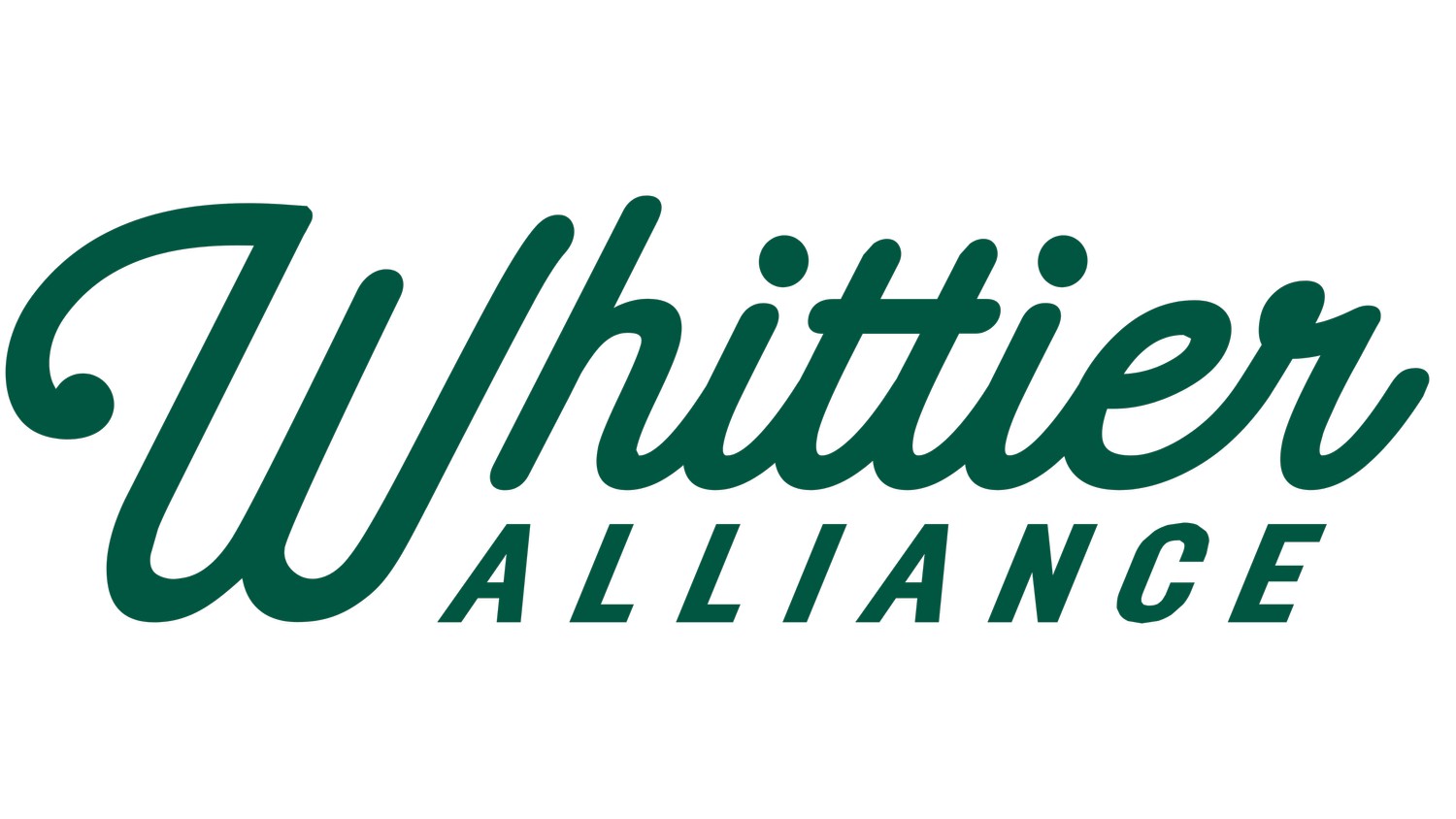 Lake Street Council logo